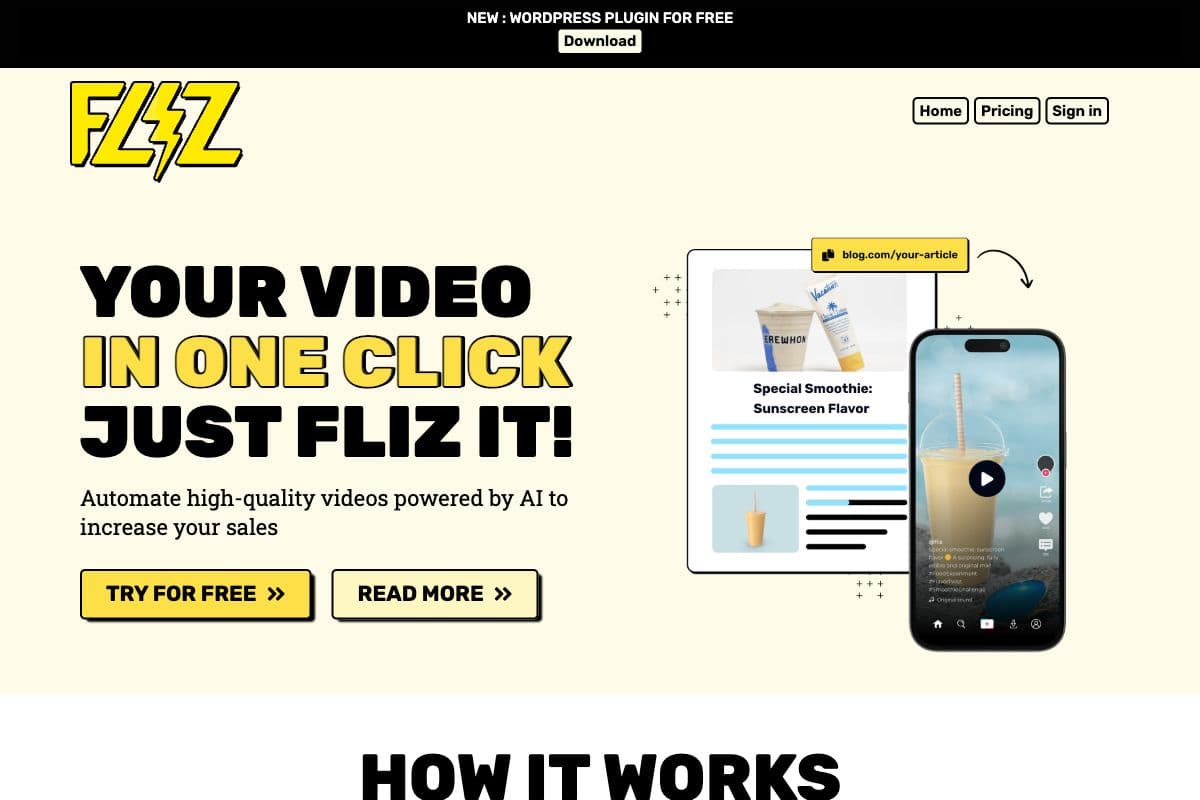 Fliz - AI-Powered Video Automation Tool