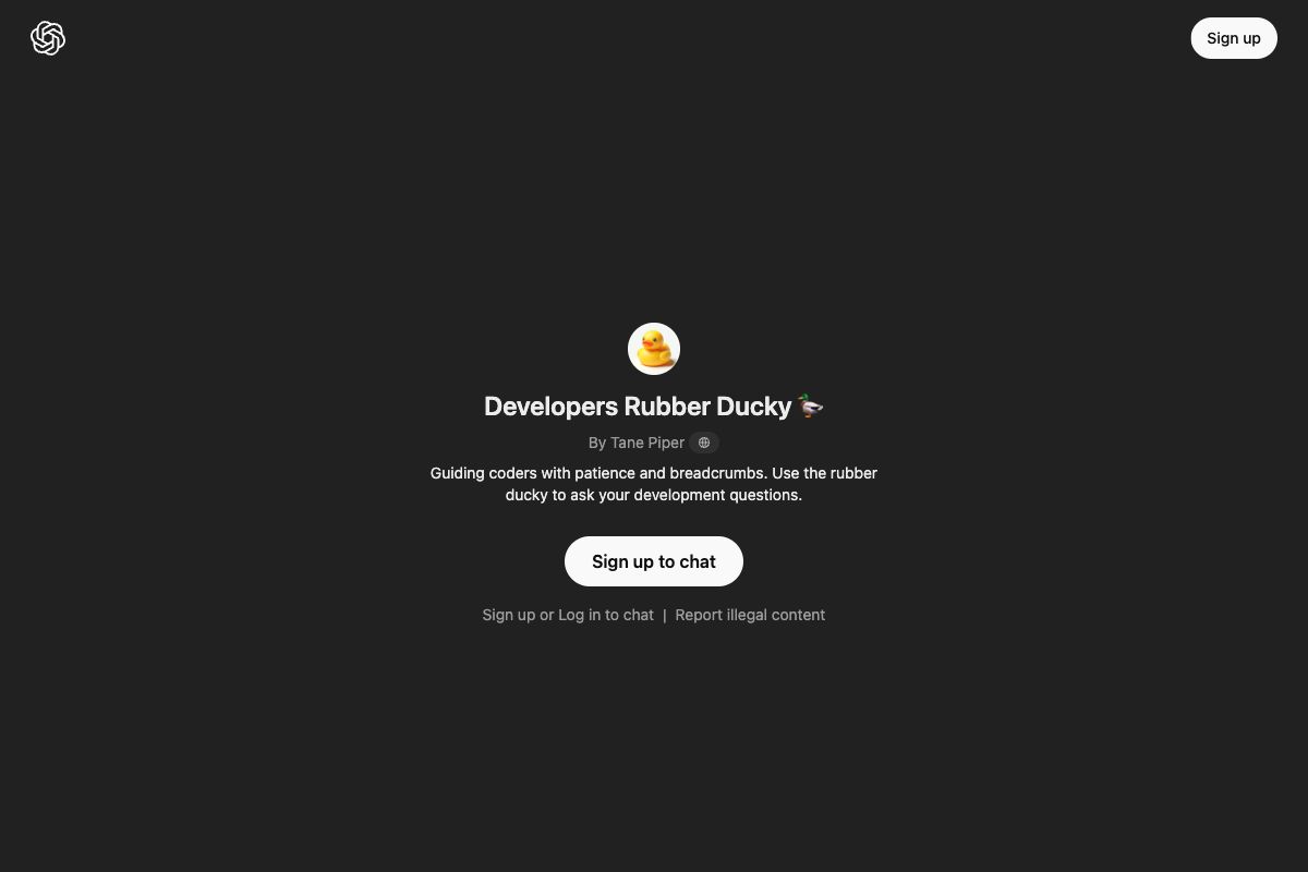 Developers Rubber Ducky